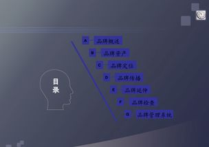 品牌管理 構(gòu)建持久品牌價(jià)值的藝術(shù)與科學(xué)