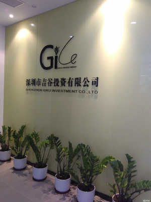 深圳市吉谷投資 專業金融中介服務的領航者